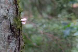 DSCF3683.JPG