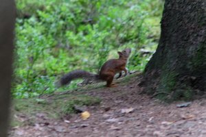 DSCF3684.JPG
