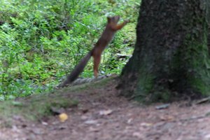 DSCF3685.JPG