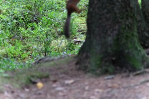 DSCF3686.JPG