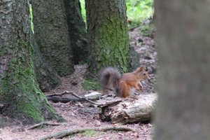 DSCF3700.JPG