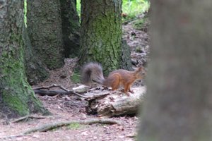 DSCF3704.JPG