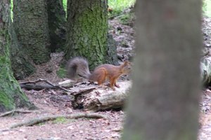 DSCF3705.JPG