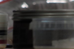 DSCF3729.JPG