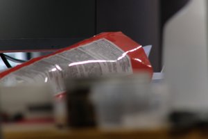 DSCF3774.JPG