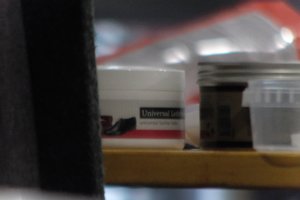 DSCF3802.JPG
