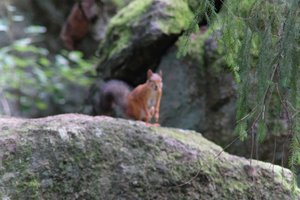 DSCF3861.JPG