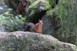 DSCF3864.JPG