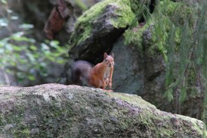 DSCF3865.JPG