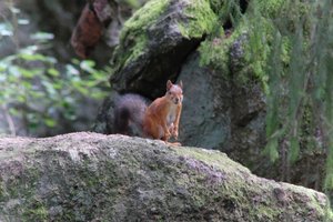 DSCF3868.JPG