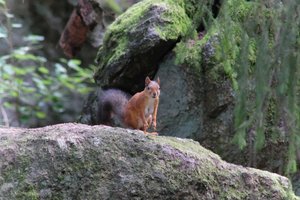 DSCF3869.JPG