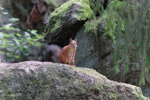 DSCF3870.JPG