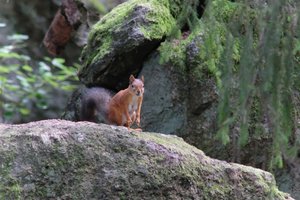 DSCF3871.JPG