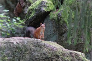 DSCF3873.JPG