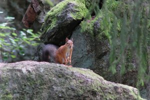 DSCF3874.JPG