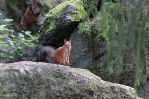 DSCF3876.JPG