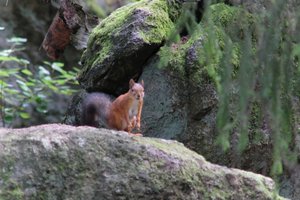 DSCF3877.JPG