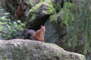 DSCF3880.JPG