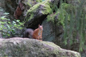 DSCF3881.JPG