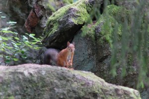 DSCF3882.JPG