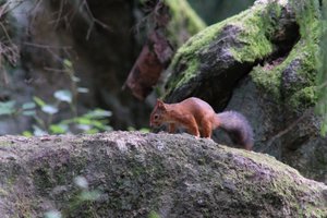 DSCF3915.JPG