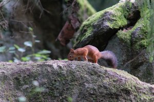 DSCF3916.JPG