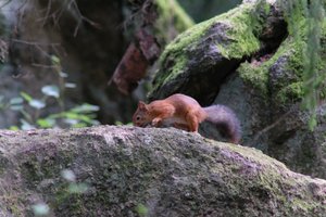 DSCF3917.JPG