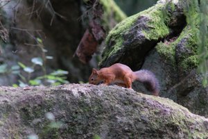 DSCF3918.JPG