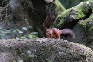 DSCF3928.JPG