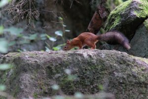 DSCF3940.JPG