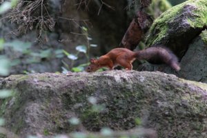 DSCF3941.JPG