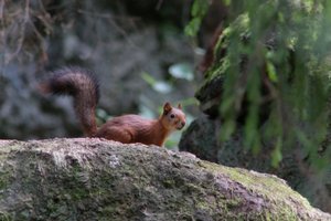 DSCF3948.JPG
