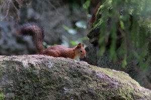 DSCF3950.JPG