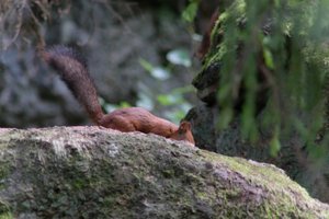 DSCF3951.JPG