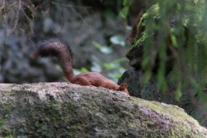 DSCF3952.JPG