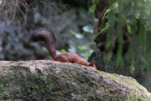 DSCF3953.JPG