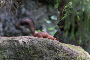 DSCF3954.JPG