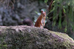 DSCF3956.JPG