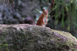 DSCF3959.JPG