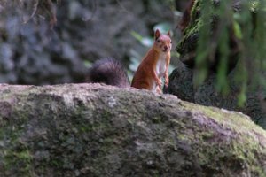 DSCF3960.JPG