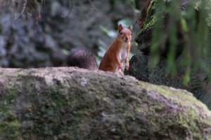 DSCF3961.JPG