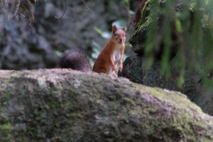 DSCF3962.JPG