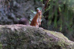 DSCF3963.JPG