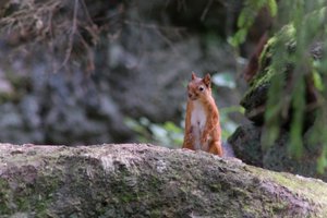 DSCF3970.JPG