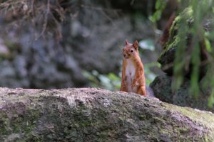 DSCF3971.JPG