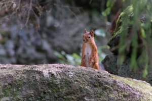DSCF3973.JPG