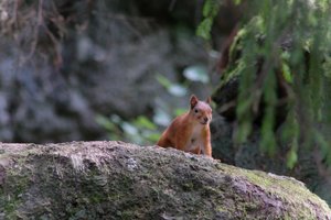 DSCF3979.JPG