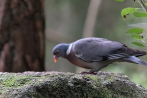 DSCF3981.JPG