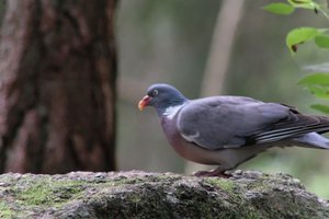 DSCF3983.JPG