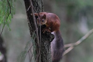 DSCF4031.JPG